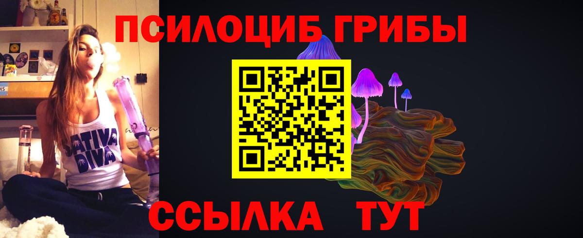 Галлюциногенные грибы мицелий  Вход с VPN  Саяногорск  Псилоцибиновые грибы GOLDEN TEACHER 